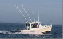 1. In-Shore - Black Hull Charters - Boston and Cape Cod Sport Fishing