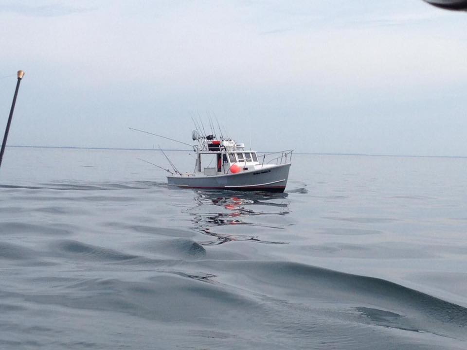2. Offshore (More than 10 Miles) - Black Hull Charters - Boston and Cape Cod Sport Fishing
